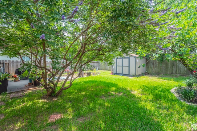 3911 Falvel Cove Dr, Spring, TX 77388 - view of yard with a storage shed and an outbuilding