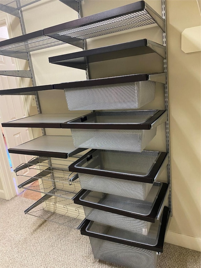 3123 Dallas St, Houston, TX 77003 - detailed view of carpet flooring, baseboards, and pet washing area