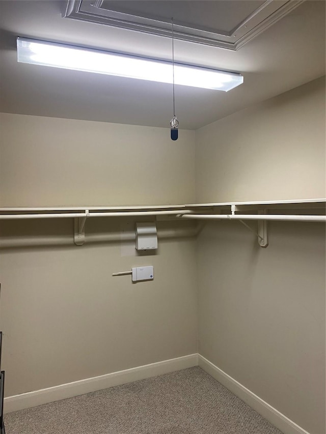 3123 Dallas St, Houston, TX 77003 - spacious closet with carpet floors