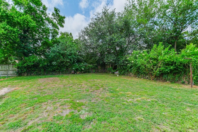 3108 Memel St, Houston, TX 77026 - view of yard