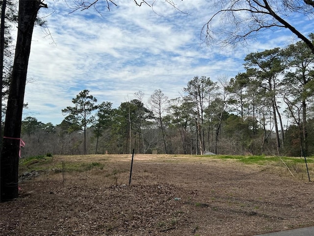 25615 Timberlakes Dr, Spring, TX 77380 - photo 6