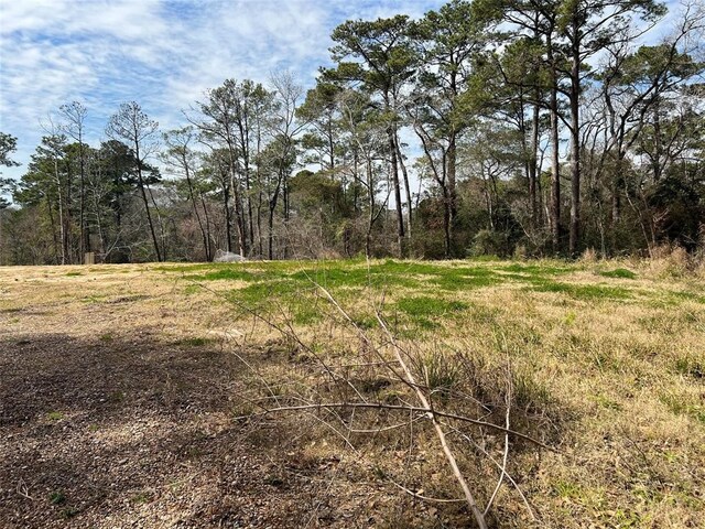 25615 Timberlakes Dr, Spring, TX 77380 - photo 7