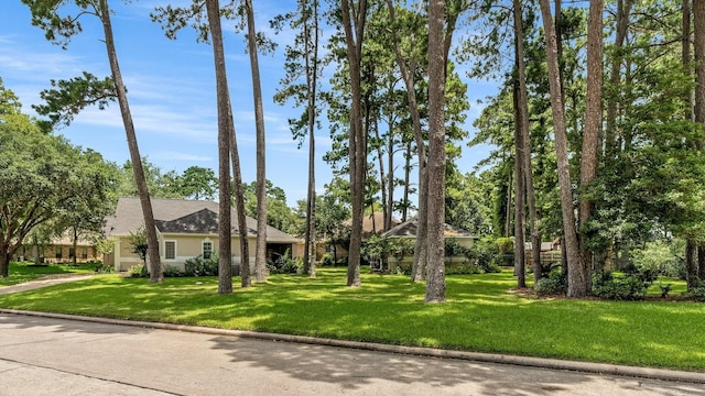 60 Fairfield Dr, Montgomery, TX 77356 - view of front facade with a front yard