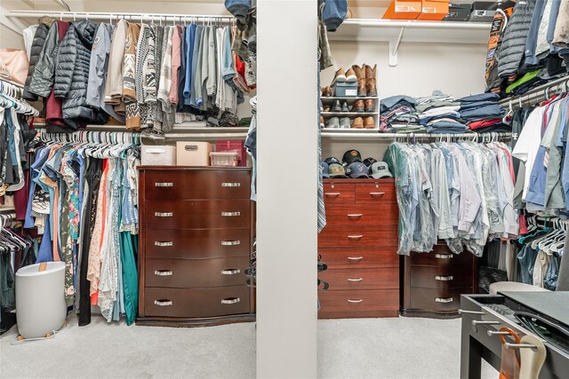 3221 Duchess Park Ln, Friendswood, TX 77546 - view of walk in closet