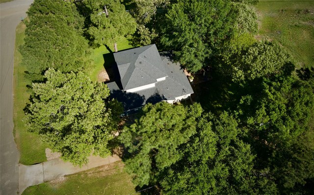 25401 Hunting Trl, Magnolia, TX 77355 - view of subject property