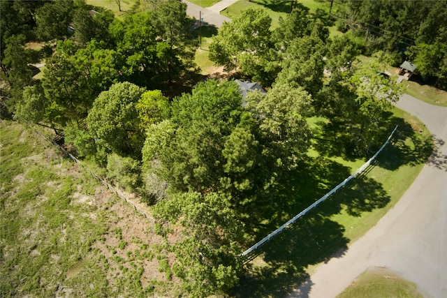 25401 Hunting Trl, Magnolia, TX 77355 - bird's eye view