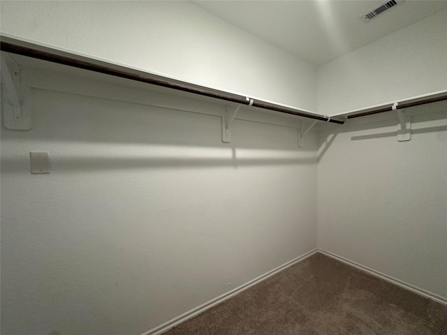 11079 N Lake Mist Ln, Willis, TX 77318 - walk in closet with dark carpet