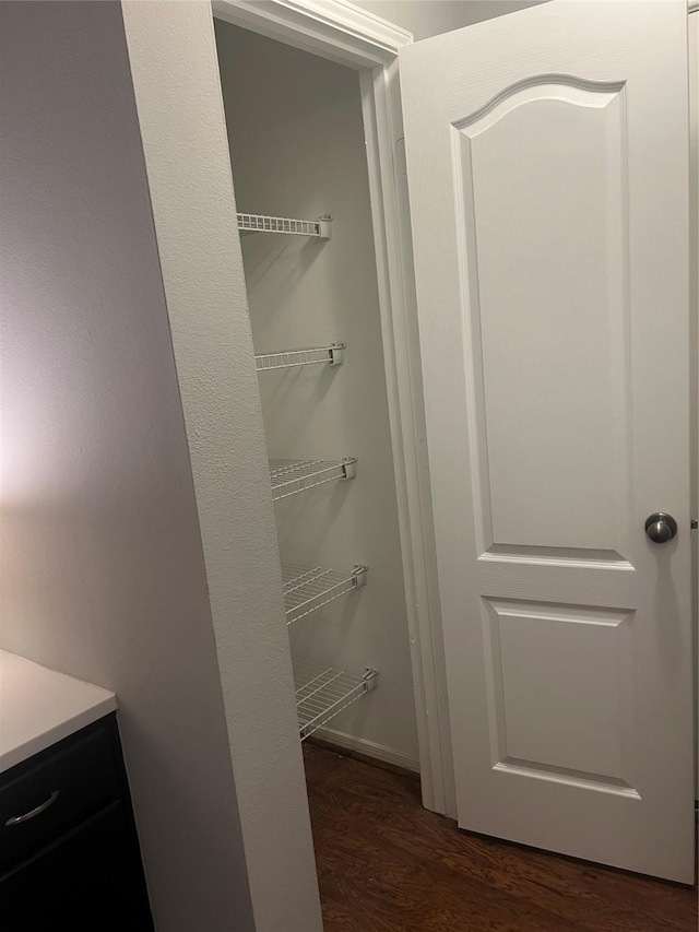 5339 Canyon Hollow Dr, Houston, TX 77084 - view of pantry