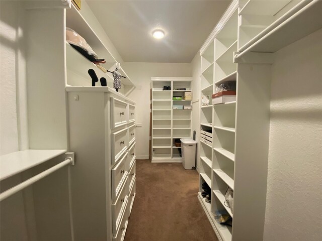 216 Dewberry Dr, Lake Jackson, TX 77566 - spacious closet featuring dark colored carpet