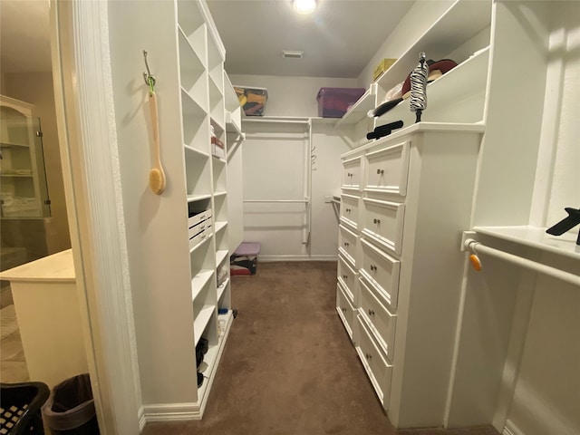 216 Dewberry Dr, Lake Jackson, TX 77566 - walk in closet featuring dark colored carpet