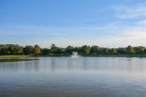 2910 Grants Lake Blvd Unit 1205, Sugar Land, TX 77479 - water view