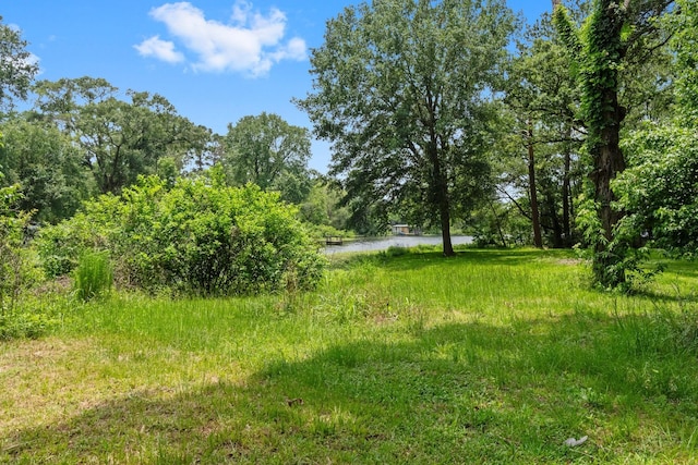 13A Big Lake Cir, Huntsville, TX 77320 - photo 26