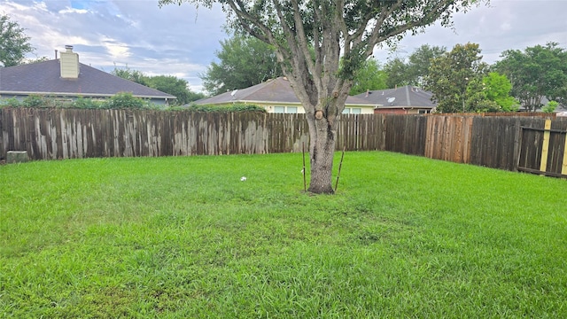 13418 Croquet Ln, Houston, TX 77085 - view of yard
