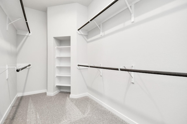 12027 Maple Oak Dr, Houston, TX 77066 - spacious closet with carpet