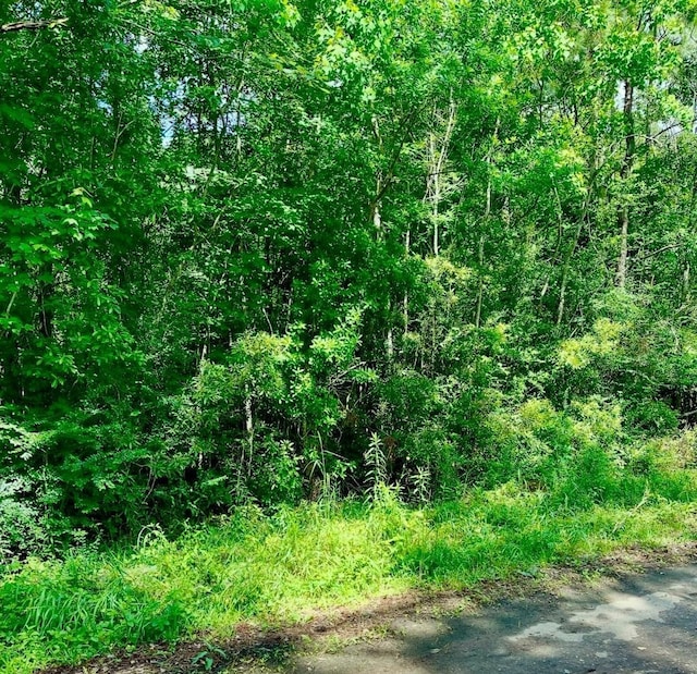 0 Ferito, Buna, TX 77612