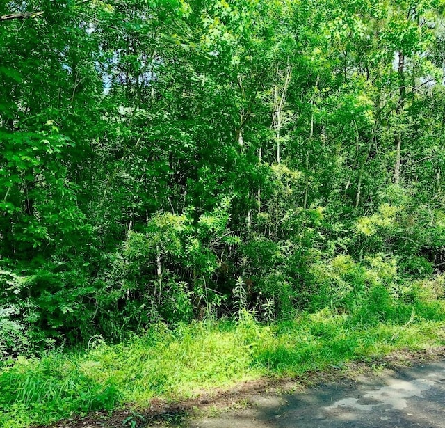 0 Ferito, Buna, TX 77612