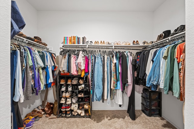 walk in closet with carpet flooring