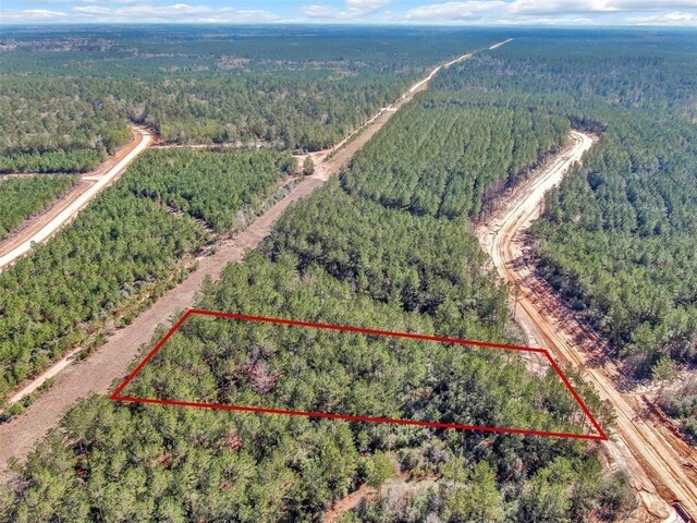 15388 Forest Grove Dr, Willis, TX 77378