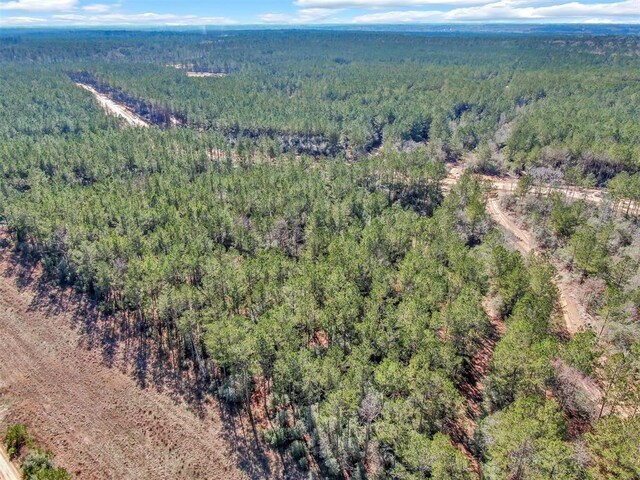 15388 Forest Grove Dr, Willis, TX 77378