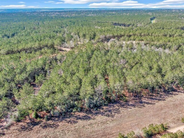 15388 Forest Grove Dr, Willis, TX 77378
