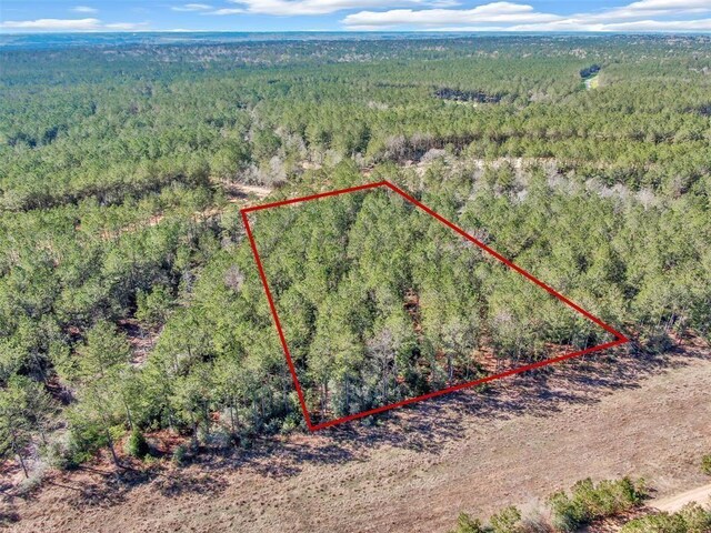 15388 Forest Grove Dr, Willis, TX 77378