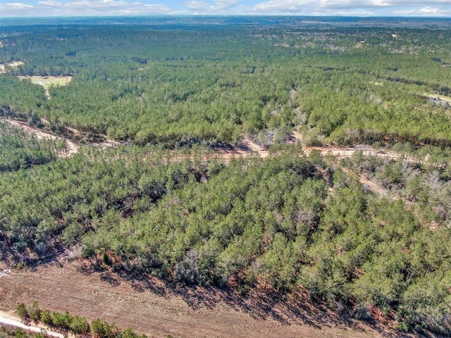15388 Forest Grove Dr, Willis, TX 77378