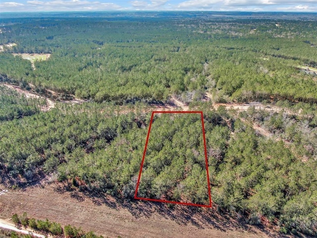 15388 Forest Grove Dr, Willis, TX 77378