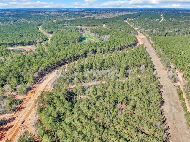15388 Forest Grove Dr, Willis, TX 77378