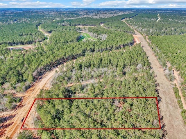 15388 Forest Grove Dr, Willis, TX 77378
