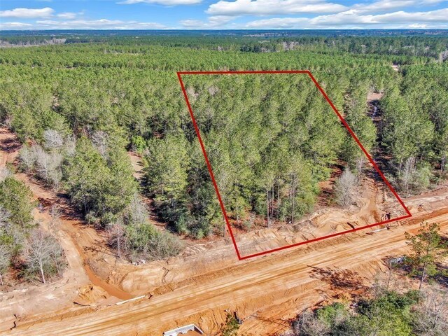 15388 Forest Grove Dr, Willis, TX 77378
