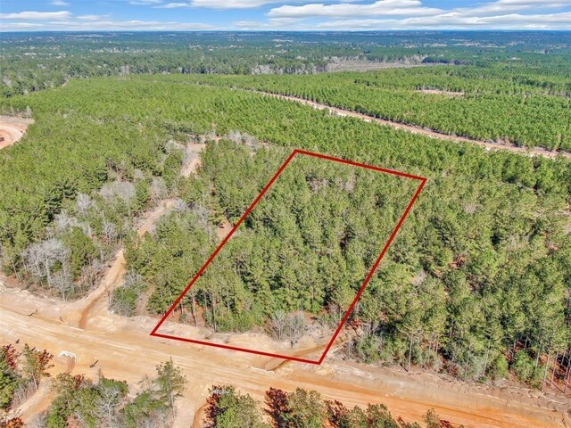 15388 Forest Grove Dr, Willis, TX 77378