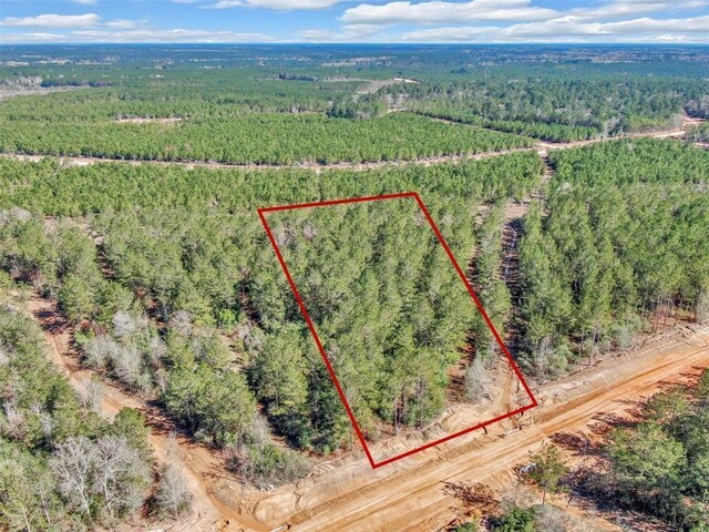 15388 Forest Grove Dr, Willis, TX 77378