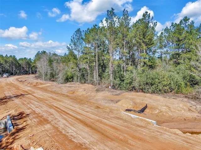 15388 Forest Grove Dr, Willis, TX 77378