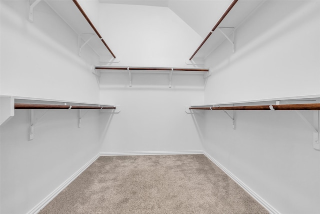 3031 Clover Trace Dr, Spring, TX 77386 - spacious closet featuring carpet floors