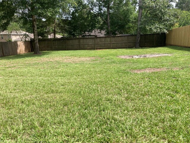 10479 Royal Tricia Dr, Conroe, TX 77303 - view of yard