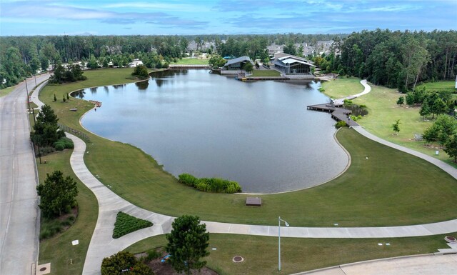 17509 Spice Merlot Ln, Conroe, TX 77302 - photo 40