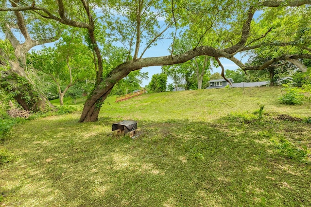 411 Southern Oaks Dr, Lake Jackson, TX 77566 - view of yard