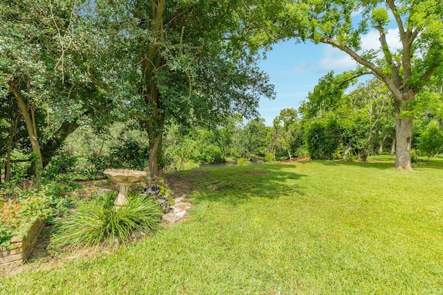 411 Southern Oaks Dr, Lake Jackson, TX 77566 - view of grassy yard