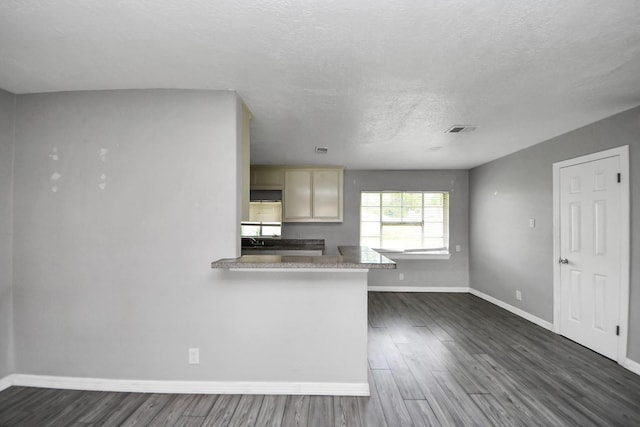 141 E Twickenham Trl, Houston, TX 77076 - kitchen with baseboards, a textured ceiling, and dark wood-style floors