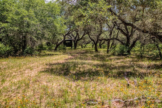 0000 Sandy Creek Rd, Garwood, TX 77442