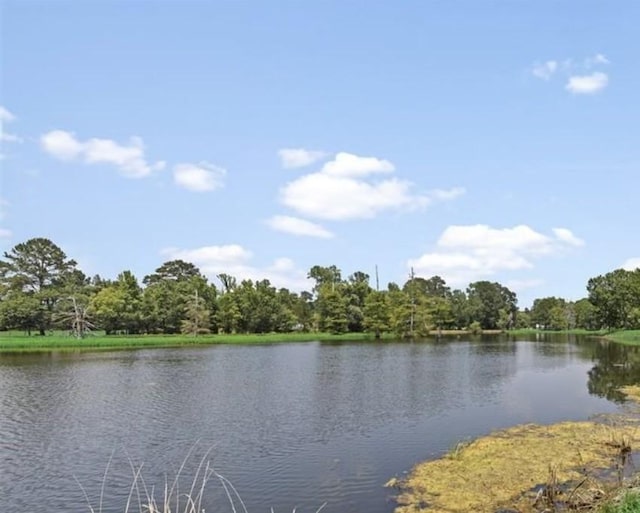 10 Walnut Loop, Shepherd, TX 77371 - water view