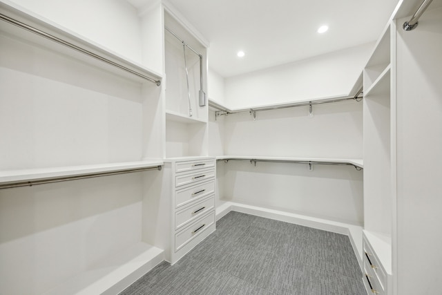 7310 Jalna St, Houston, TX 77055 - walk in closet featuring carpet floors