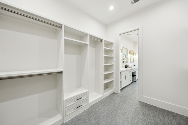 7310 Jalna St, Houston, TX 77055 - spacious closet with carpet flooring