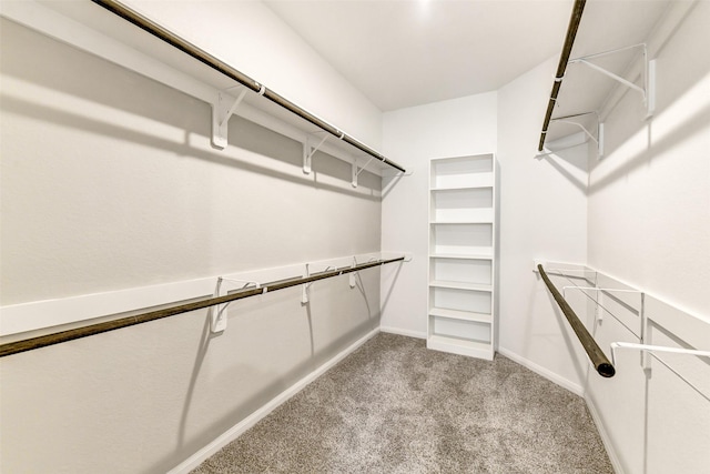 1210 Oak Barrel Run, Richmond, TX 77406 - walk in closet with carpet floors