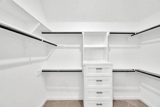 8714 Clarington St, Houston, TX 77016 - spacious closet with light colored carpet