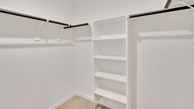 12316 Frisco Cove Ct, Houston, TX 77047 - spacious closet featuring carpet