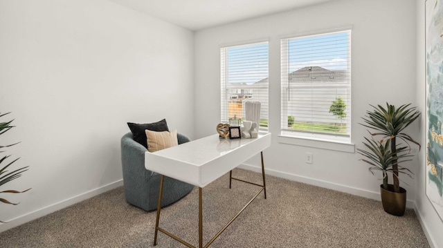 12316 Frisco Cove Ct, Houston, TX 77047 - carpeted office featuring healthy amount of natural light and baseboards