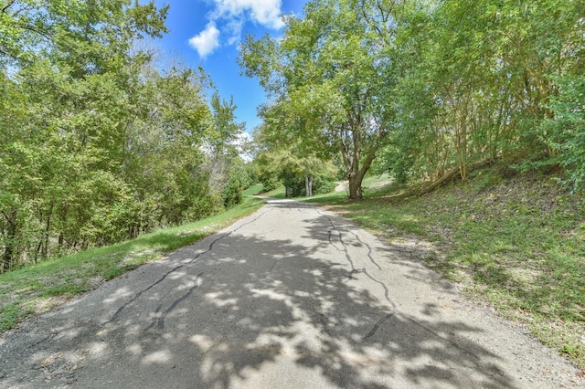 1326 Forest Home Dr, Houston, TX 77077 - view of asphalt street