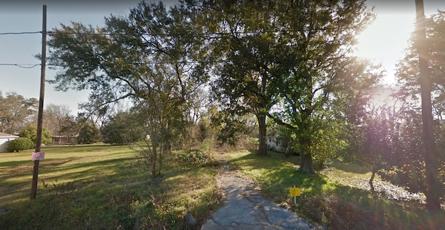 4122 Wayne St, Houston, TX 77026