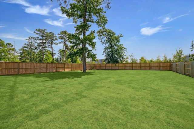 403 Venado View Ct, Conroe, TX 77304 - view of yard